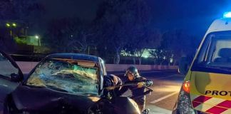 Protection civile: 12 morts et 295 blessés en 24 heures