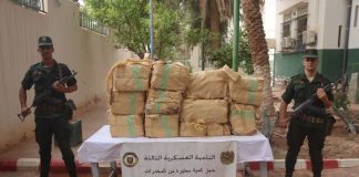 ANP: Saisie de 4,7 quintaux de kif traité à la frontière avec le Maroc en une semaine