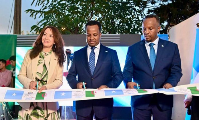 p 4 1 Ambassade somalienne