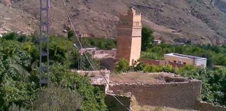 Le marché de l’automne à T’kout (Batna): Un événement agricole, culturel et touristique