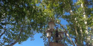 Acte de vandalisme contre la statue d’Ain El Fouara:10 ans de prison ferme et une amende 50 millions de centimes contre l’auteur