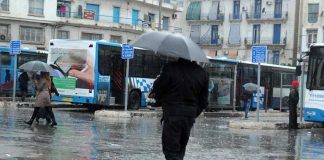 Pluies et orages sur plusieurs wilayas du pays jusqu’à mardi