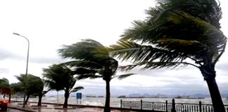 Vents violents jusqu’à 90 km/h dans plusieurs wilayas du pays