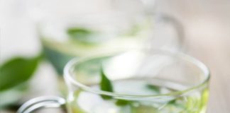 Comment le thé vert aide-t-il à perdre du poids ?