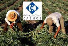 CASNOS : lancement de deux services numériques au profit des agriculteurs pour simplifier l’accès à la couverture sociale