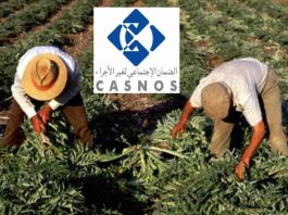 CASNOS : lancement de deux services numériques au profit des agriculteurs pour simplifier l’accès à la couverture sociale