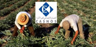 CASNOS : lancement de deux services numériques au profit des agriculteurs pour simplifier l’accès à la couverture sociale