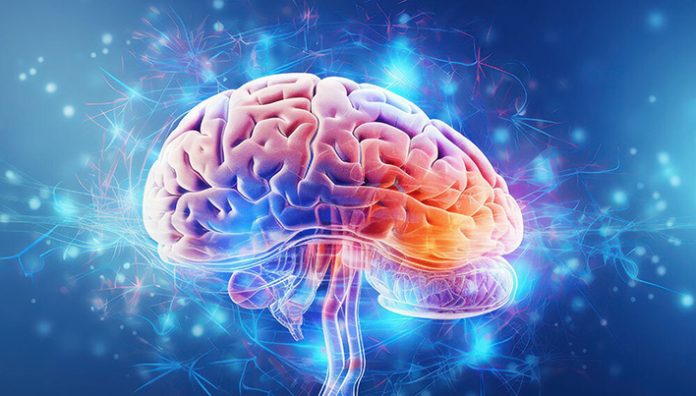 lumière cerveau biophotons