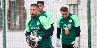 EN: La guerre des bois !