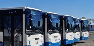 Blida: Renforcement de lignes de transport par de nouveaux bus