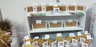 Sétif: Ouverture du Salon international de l’agriculture et de la production végétale