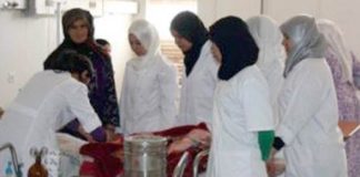 Laghouat: Plus d’une quinzaine d’établissements scolaires raccordés aux réseaux énergétiques