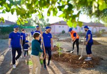 Bank ABC Algérie participe à l’opération nationale de reboisement