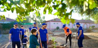 Bank ABC Algérie participe à l’opération nationale de reboisement