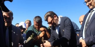 Elle a porté sur la plantation d’un million d’arbres à travers le territoire national: Vaste campagne de reboisement pour une Algérie verte et prospère