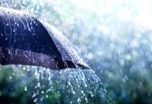 BMS : Vague de froid, orages et vents de sable, mercredi et jeudi, sur plusieurs wilayas