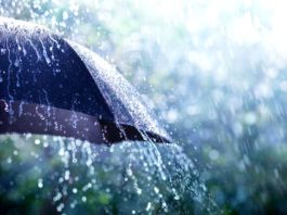 BMS : Vague de froid, orages et vents de sable, mercredi et jeudi, sur plusieurs wilayas