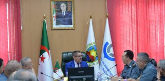 Dédouanement des véhicules importés : la DGD instaure des mesures urgentes