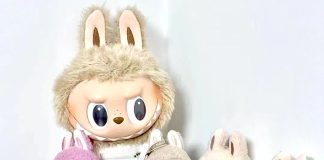 Labubu perd de sa magie, son fondateur perd 6 milliards de dollars en moins d’un mois