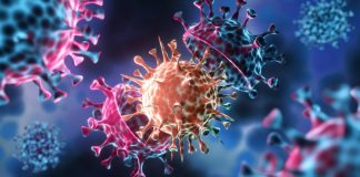 Antibiotiques: L’OMS alerte sur la résistance accrue des bactéries et appelle à concevoir de nouveaux traitements