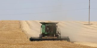 Bechar: Réception prochaine de deux centres de proximité de stockage des céréales