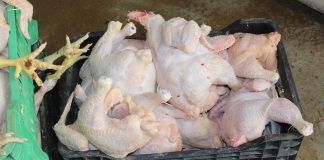 Oran: Prés de 2, 5 quintaux de viande blanche impropre à la consommation saisis à Hassi Bounif
