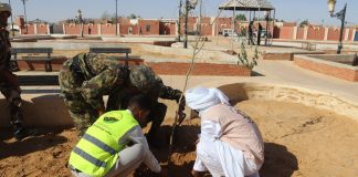 Campagne nationale de plantation d’arbre: Vastes opérations de boisement dans le Sud