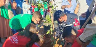Plus de 1,3 million d’arbres plantés lors de la campagne nationale de reboisement