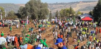Tizi-Ouzou: lancement de la campagne nationale de plantation d’un million d’arbres