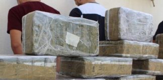 Oran: Démantèlement d’un réseau criminel de trafic de drogue et saisie d’environ 19 kg de kif traité