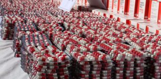 Ouargla: Plus de 14.000 capsules de psychotropes saisies