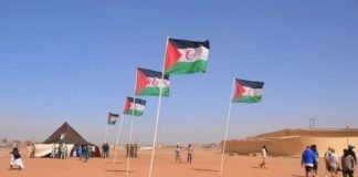 Sahara Occidental: Le Front Polisario réaffirme l’attachement ferme du peuple sahraoui à son droit inaliénable à l’autodétermination