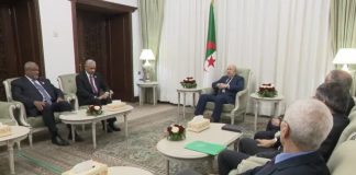 Audience: Le président de la République reçoit le président du Groupe de la Banque africaine de développement