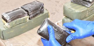 Bechar: Démantèlement d’un réseau criminel et saisie de plus de 8 kg de kif traité