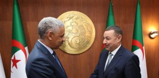 950 km de rail au cœur des discussions: Said Sayoud et la BAD explorent de nouveaux leviers d’investissement