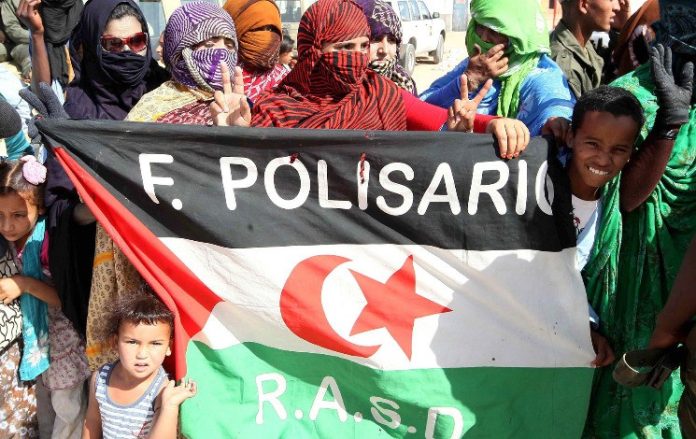 polisario