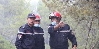 Tipasa : un dispositif exceptionnel mobilisé face aux feux de forêt: ANP, Protection civile et 7 wilayas unissent leurs moyens pour contenir les flammes
