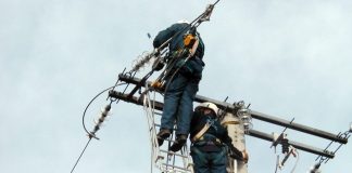 Constantine: Raccordement de plus de 80 exploitations agricoles au réseau de l’électricité