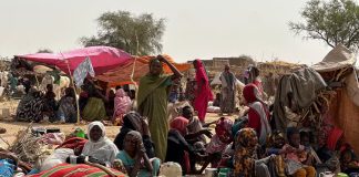 Soudan: Situation humanitaire critique pour des milliers de déplacés à El-Fasher