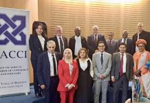 AAPI: L’Algérie expose ses atouts d’investissement à Pretoria