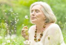 Un lien entre Alzheimer et l’odorat détecté