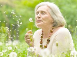 Un lien entre Alzheimer et l’odorat détecté