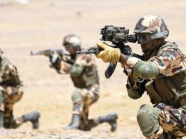 ANP: Mise en échec de tentatives d’introduction de plus de 26 quintaux de kif traité via les frontières avec le Maroc