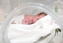 Un bébé prématuré de moins de 500 g défie tous les pronostics: «Un succès médical extraordinaire»