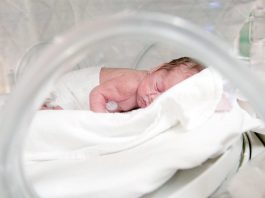 Un bébé prématuré de moins de 500 g défie tous les pronostics: «Un succès médical extraordinaire»