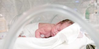 Un bébé prématuré de moins de 500 g défie tous les pronostics: «Un succès médical extraordinaire»