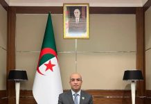 La diaspora appelée à soutenir la relance économique: Chaib met en avant l’implication des Algériens de l’étranger