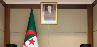 La diaspora appelée à soutenir la relance économique: Chaib met en avant l’implication des Algériens de l’étranger