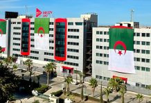 Forêts: L’operateur « Djezzy » contribue à la protection de l’environnement à travers une opération de reboisement