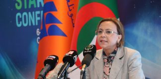 Innovation verte: L’Algérie lance un programme écologique pour les jeunes Africains